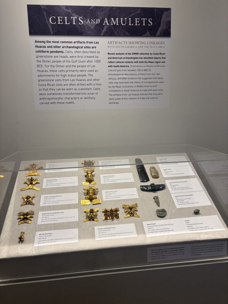 Pieces from the Gold Museum and works of carved jade lent by Costa Rica are on display at the LASA Latin American Cultural Center in Pittsburgh. PHOTO: STEEL PULSE NEWS/ FREDDY POTOY